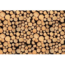 Stock of Wood