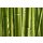 AS Creation XXL Nature 2010 Bamboo 0310-51 , 31051  2m x 1.33m Fototapete