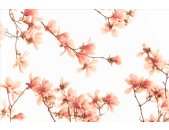 AS Creation XXL Nature 2011 Pink blossom 0362-61 , 36261...