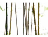 AS Creation XXL Nature 2011 Thin Bamboo 0362-71 , 36271...