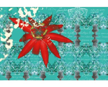 AS Creation AP Digital Floral Red 4700-10 , 470010  2m x 1.33m Fototapete
