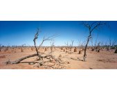 AS Creation AP Digital Outback 4700-60 , 470060  2m x...