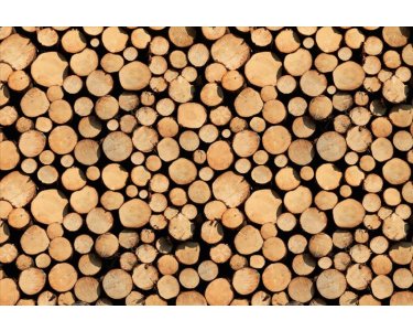 AS Creation AP Digital Stock of Wood 4701-13 , 470113  2m x 1.33m Fototapete