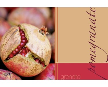 AS Creation XXL Food 2010 Pomegranate 0430-71 , 43071  2m x 1.33m Fototapete