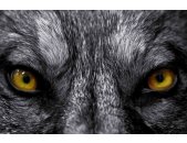 AS Creation XXL Eyecatcher 2011 Wolf eyes 0460-93 , 46093...