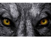 AS Creation XXL Eyecatcher 2011 Wolf eyes 0460-94 , 46094...