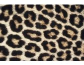 AS Creation XXL Eyecatcher 2011 Leopard skin 0461-73 ,...