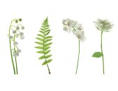 AS Creation XXL Nature 2011 White flowers 0462-01 , 46201...