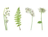 AS Creation XXL Nature 2011 White flowers 0462-03 , 46203...