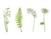 AS Creation XXL Nature 2011 White flowers 0462-04 , 46204...