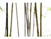 AS Creation XXL Nature 2011 Thin Bamboo 0462-71 , 46271...
