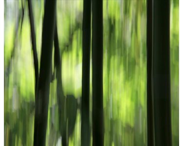 AS Creation XXL Nature 2011 Bamboo blur 0462-82 , 46282  3m x 2.5m Fototapete