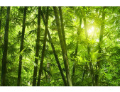 AS Creation XXL Nature 2011 Bamboo forest 0363-08 , 36308...