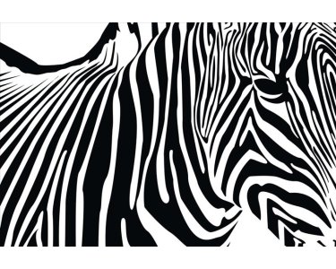AS Creation XXL Nature 2011 Zebra 0464-31 , 46431  2m x 1.33m Fototapete