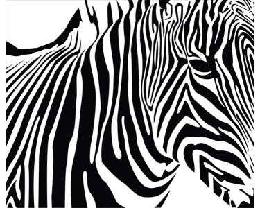 AS Creation XXL Nature 2011 Zebra 0464-32 , 46432  3m x 2.5m Fototapete