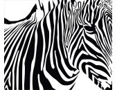 AS Creation XXL Nature 2011 Zebra 0464-32 , 46432  3m x...