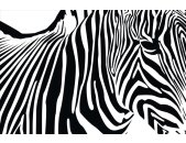 AS Creation XXL Nature 2011 Zebra 0464-34 , 46434  5m x...