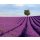 AS Creation XXL Nature 2011 Lavender field 0465-02 , 46502  3m x 2.5m Fototapete