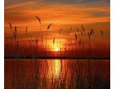 AS Creation XXL Nature 2011 Sunset Lake 0465-72 , 46572...