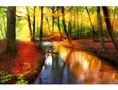 AS Creation XXL Nature 2011 Forest stream 0465-81 , 46581...