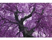 AS Creation XXL Nature 2011 Purple tree 0465-91 , 46591...