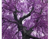 AS Creation XXL Nature 2011 Purple tree 0465-92 , 46592...