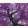 AS Creation XXL Nature 2011 Purple tree 0465-92 , 46592  3m x 2.5m Fototapete