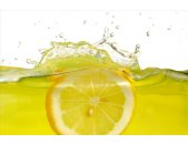 AS Creation XXL Food 2011 Lemon slice 0466-84 , 46684  5m...