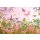 AS Creation XXL Wallpaper 2011 Bicycle+meadow 0469-13 , 46913  4m x 2.67m Fototapete