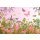 AS Creation XXL Wallpaper 2011 Bicycle+meadow 0469-14 , 46914  5m x 3.33m Fototapete