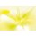 AS Creation XXL Wallpaper 2011 Soft graphic 0469-23 , 46923  4m x 2.67m Fototapete