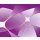 AS Creation XXL Wallpaper 2011 GraphicClover2 0469-42 , 46942  3m x 2.5m Fototapete
