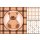 AS Creation XXL Kids 2011 Border bear 3 0470-44.1 , 47044.1  3m x 2.50m Fototapete