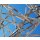 AS Creation XXL Nature 2011 Calming 2 0470-62 , 47062  2m x 1.33m Fototapete