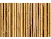 AS Creation XXL Wallpaper 3 Bambus Fototapete 470679
