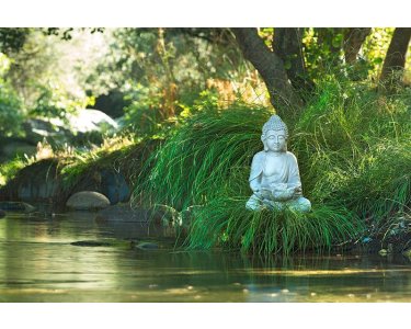 AS Creation XXL Wallpaper 3 Buddha at Lake Fototapete 470664
