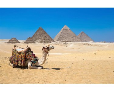 AS Creation XXL Wallpaper 3 Giza in Cairo Fototapete 470601