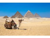AS Creation XXL Wallpaper 3 Giza in Cairo Fototapete 470601