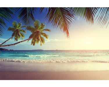 AS Creation XXL Wallpaper 3 Seychelles Fototapete 470-696