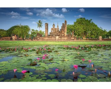 AS Creation XXL Wallpaper 3 Sukhothai Fototapete 470-604