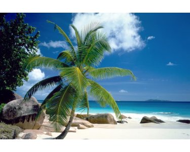 AS Creation XXL Wallpaper 2 Beach Fototapete 470-333