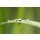 AS Creation XXL Wallpaper 2 Blade of Grass Fototapete 470-326