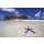 AS Creation XXL Wallpaper 2 Blue Starfish Fototapete 470-328