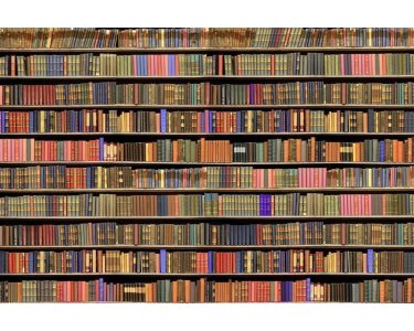AS Creation XXL Wallpaper 2 Bookcase Fototapete 470-341