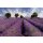 AS Creation XXL Wallpaper 2 Lavender Fototapete 470-298