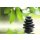 AS Creation XXL Wallpaper 2 Spa Fototapete 470-375