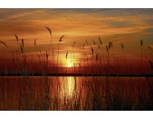 AS Creation XXL Wallpaper 2 Sunset at the Lake Fototapete...