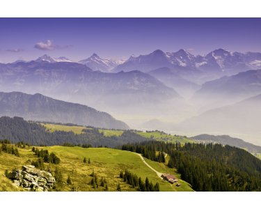 AS Creation XXL Wallpaper 2 Wide View Fototapete 470-385