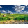 AS Creation AP Digital Countryside Fototapete Größe 4,00m x 2,67 m XL 471-450