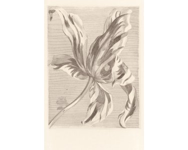 Eijffinger Masterpiece 358117 Vinyltapete Wandbild